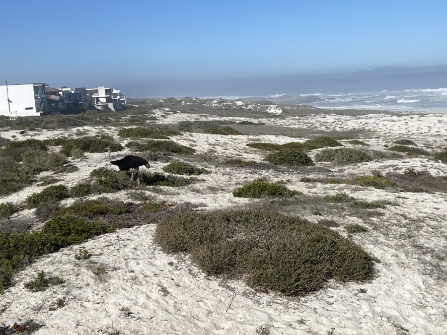 0 Bedroom Property for Sale in Pearl Bay Western Cape